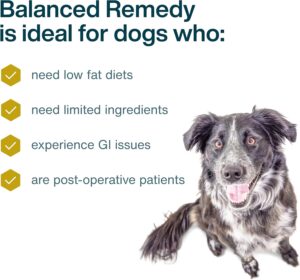 IAMS Healthy Aging 7+ senior dog food with sensitive support