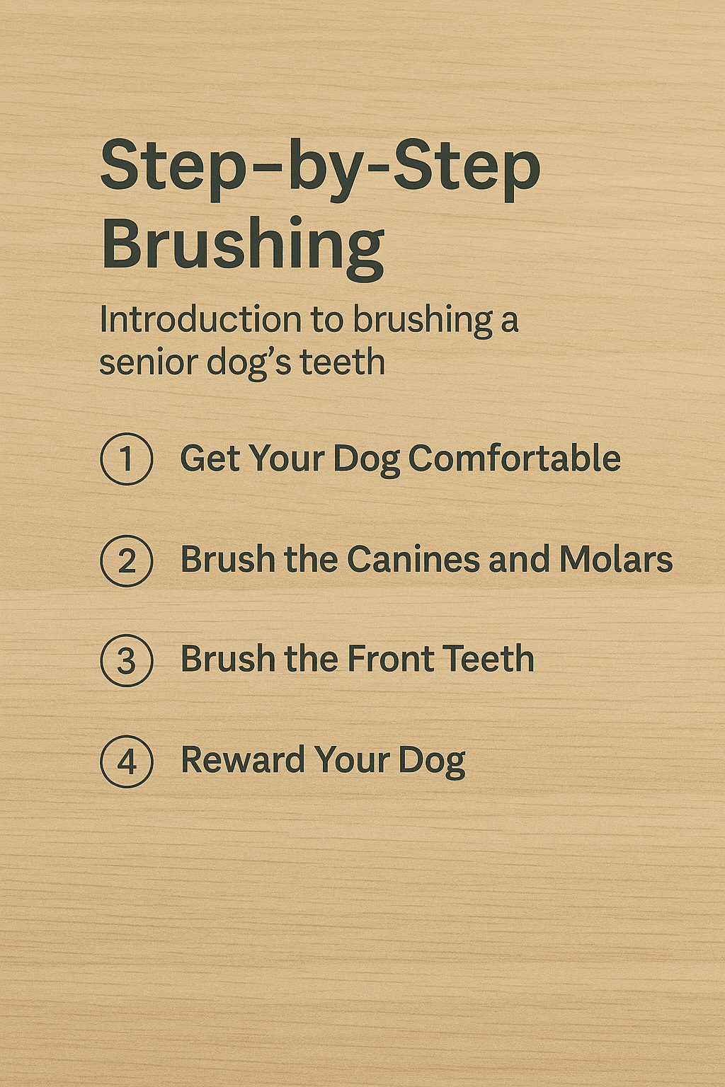 Owner gently lifting a senior dog’s lip to check teeth before brushing.