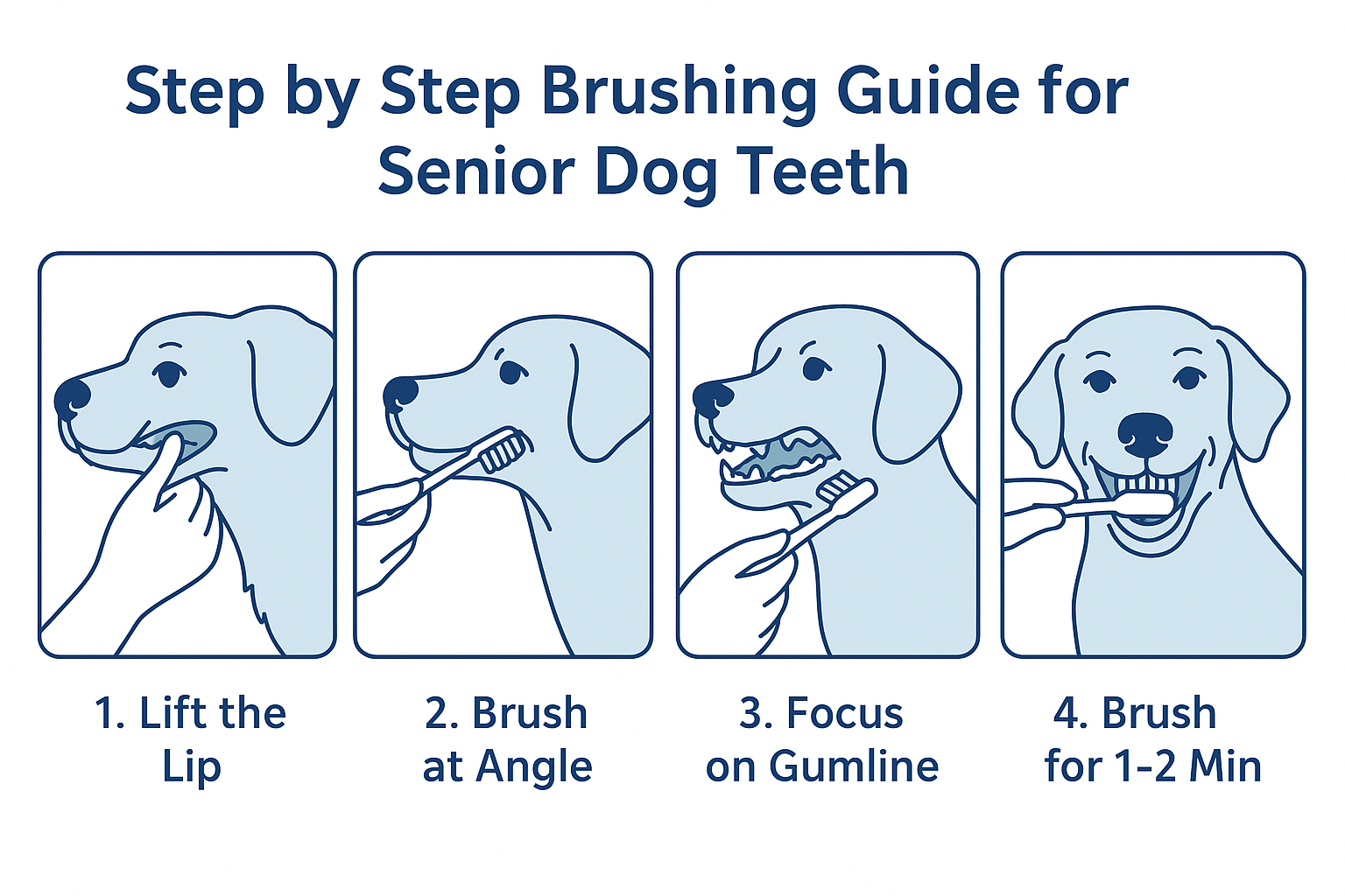 illustrated step-by-step brushing guide for senior dog dental care