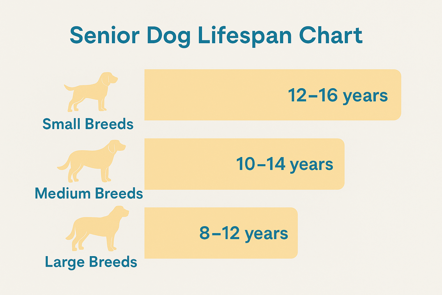 Infographic chart showing senior dog lifespan ranges by breed size.