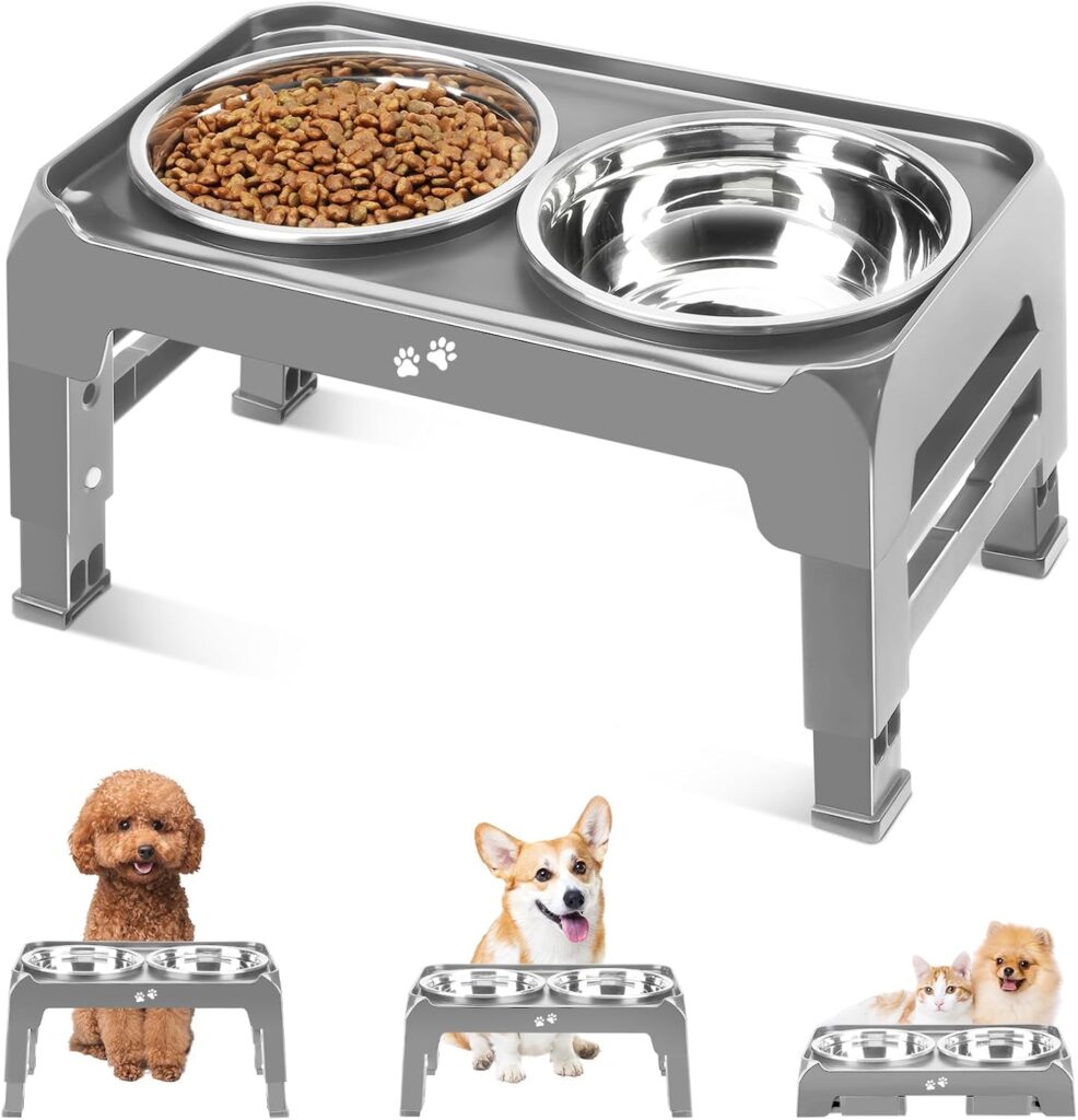 Elevated Dog Bowls for Small Medium Dogs