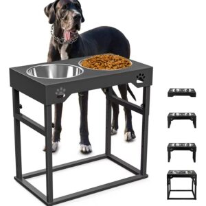 Raised adjustable black dog bowl
